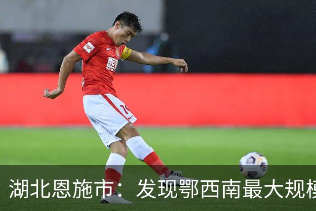 湖北恩施市：发现鄂西南最大规模蛇足石杉野生居群